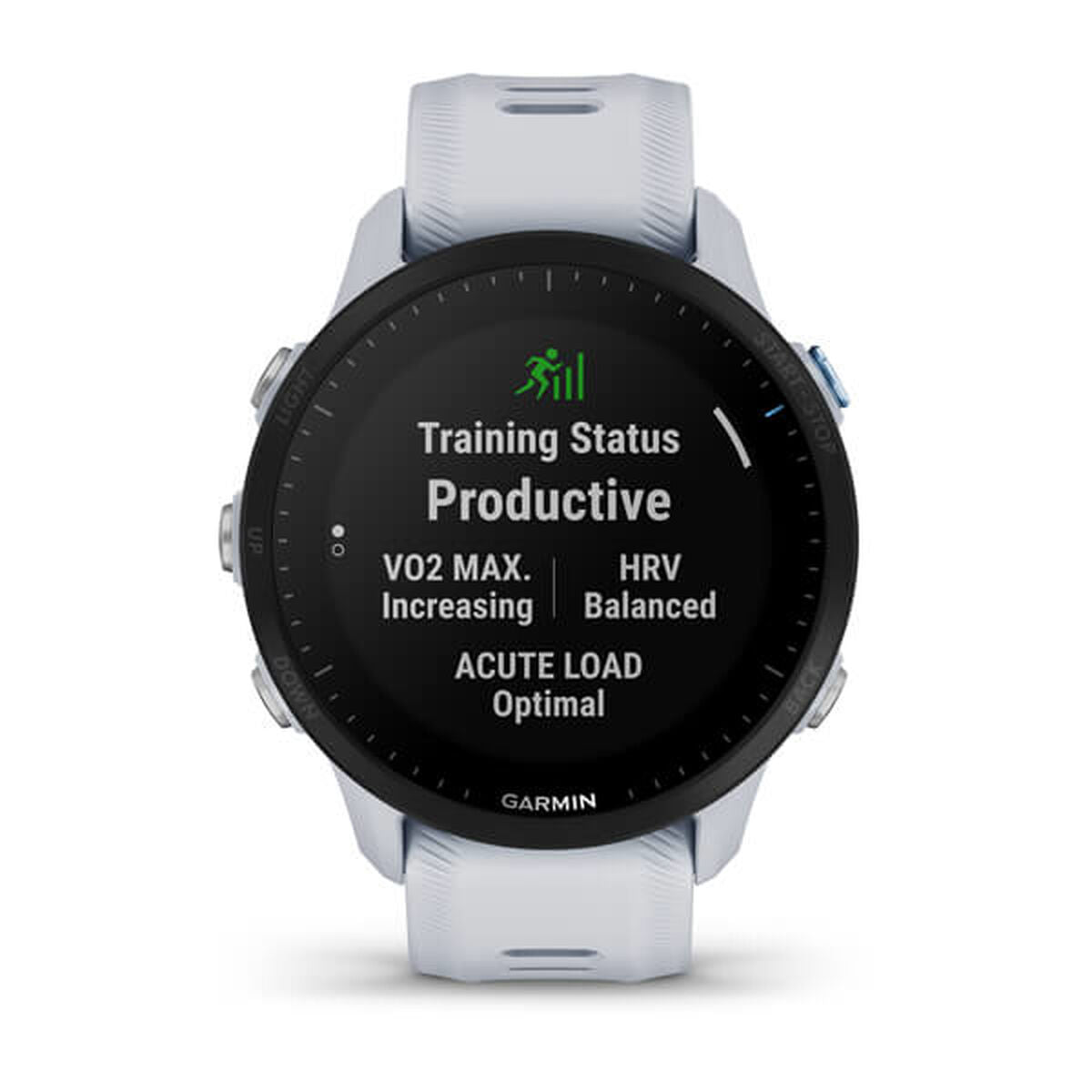 Smartwatch GARMIN 010-02638-31-15