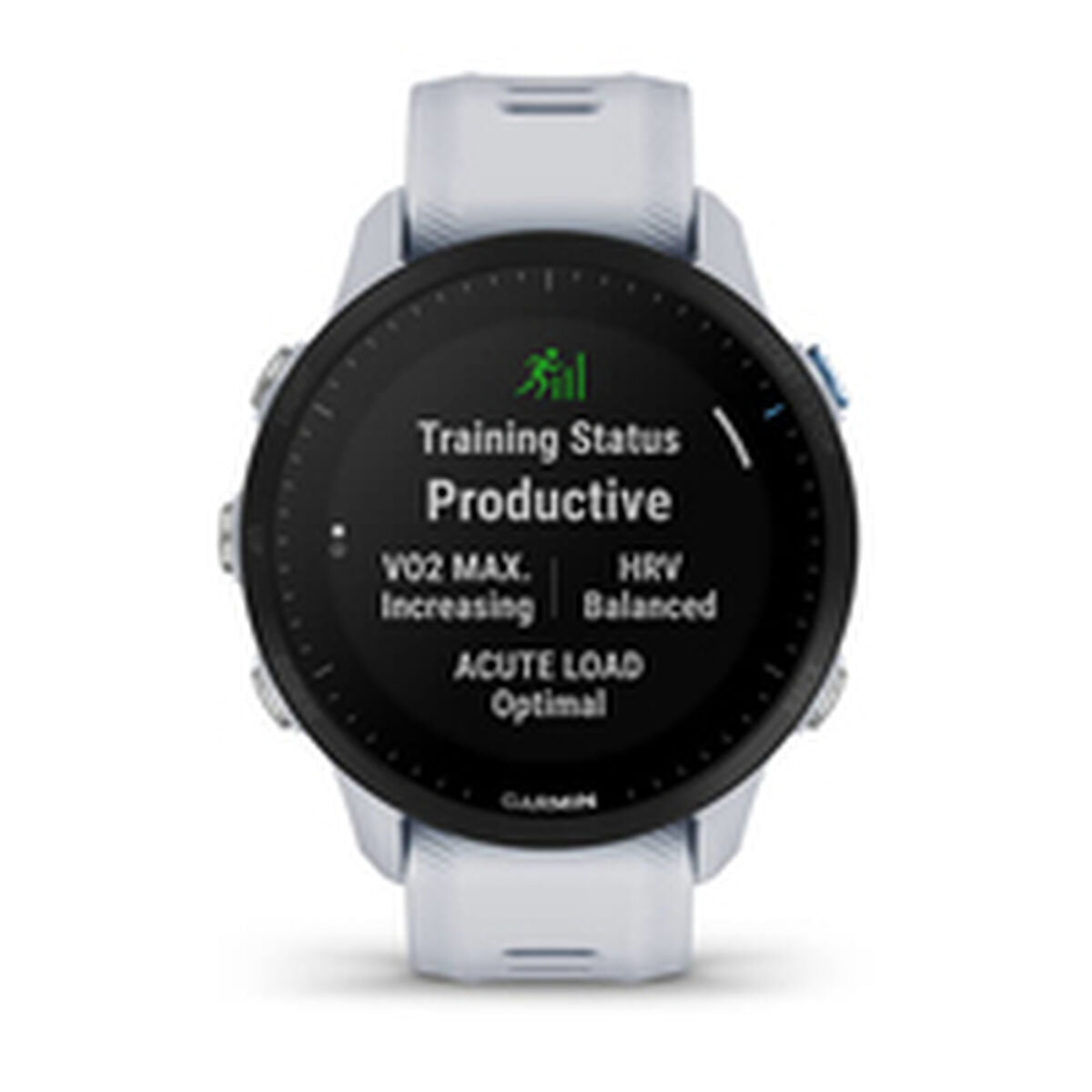 Smartwatch GARMIN 010-02638-31-14