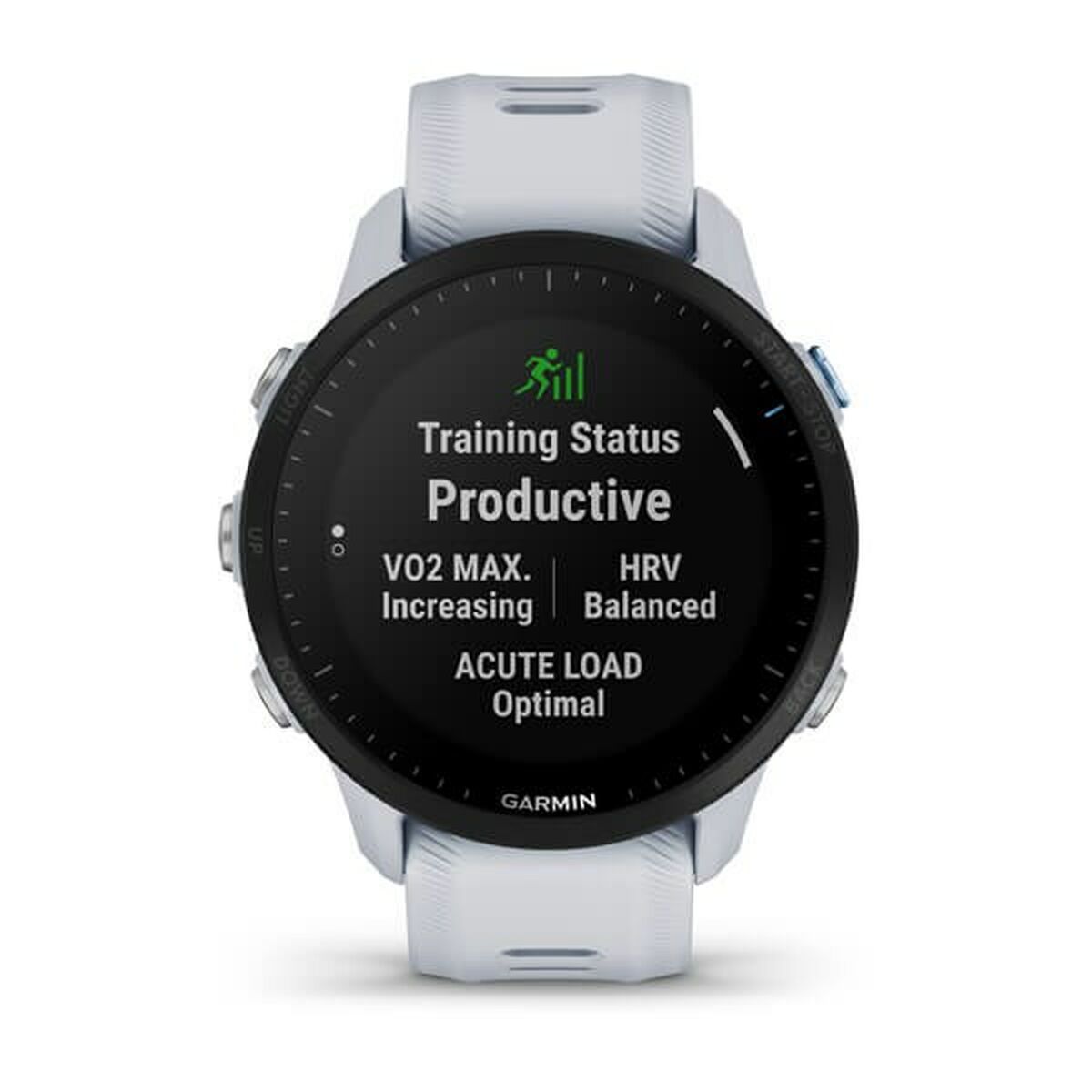 Smartwatch GARMIN 010-02638-31-6