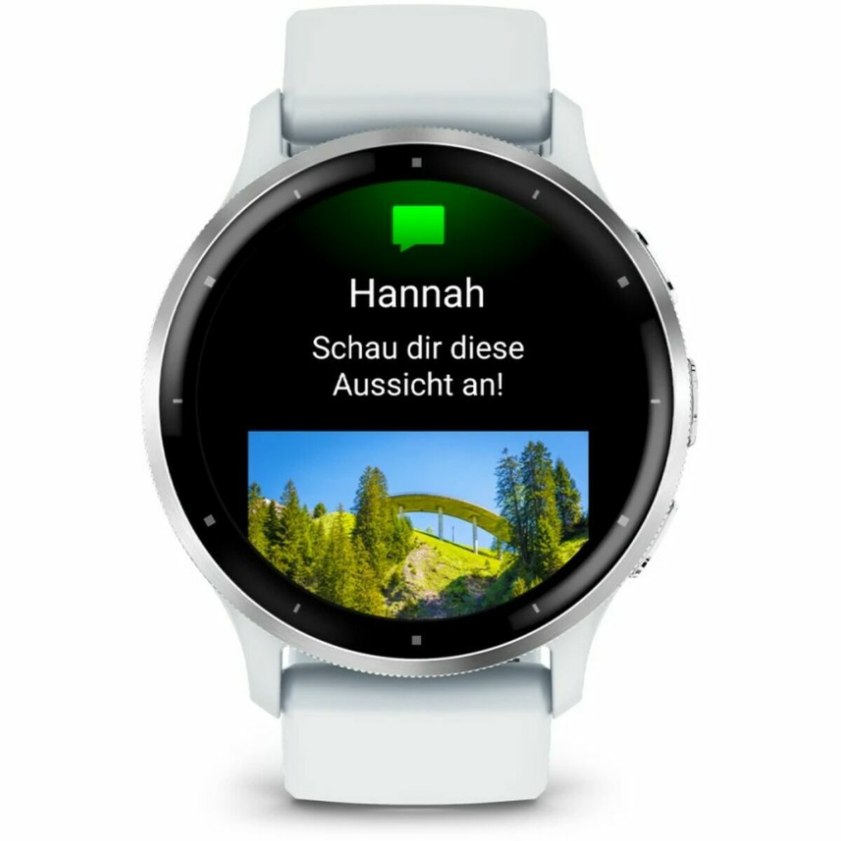 Smartwatch GARMIN 010-02784-00 White-17