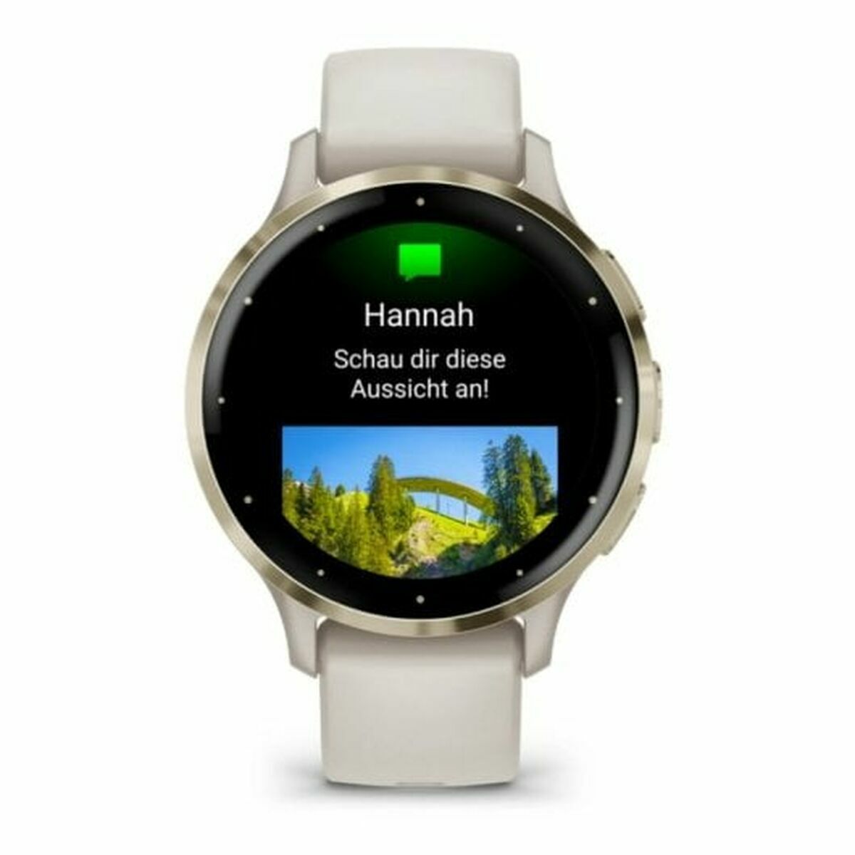 Smartwatch GARMIN Ivory 1,2"-21