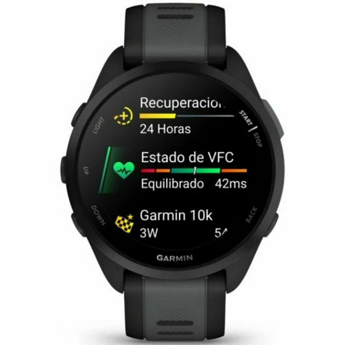 Smartwatch GARMIN 010-02863-20 Black Silver-9
