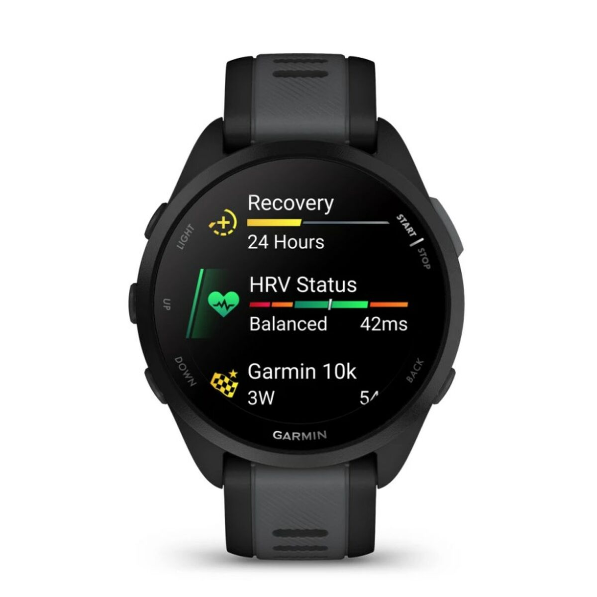Smartwatch GARMIN 010-02863-20 Black Silver-15