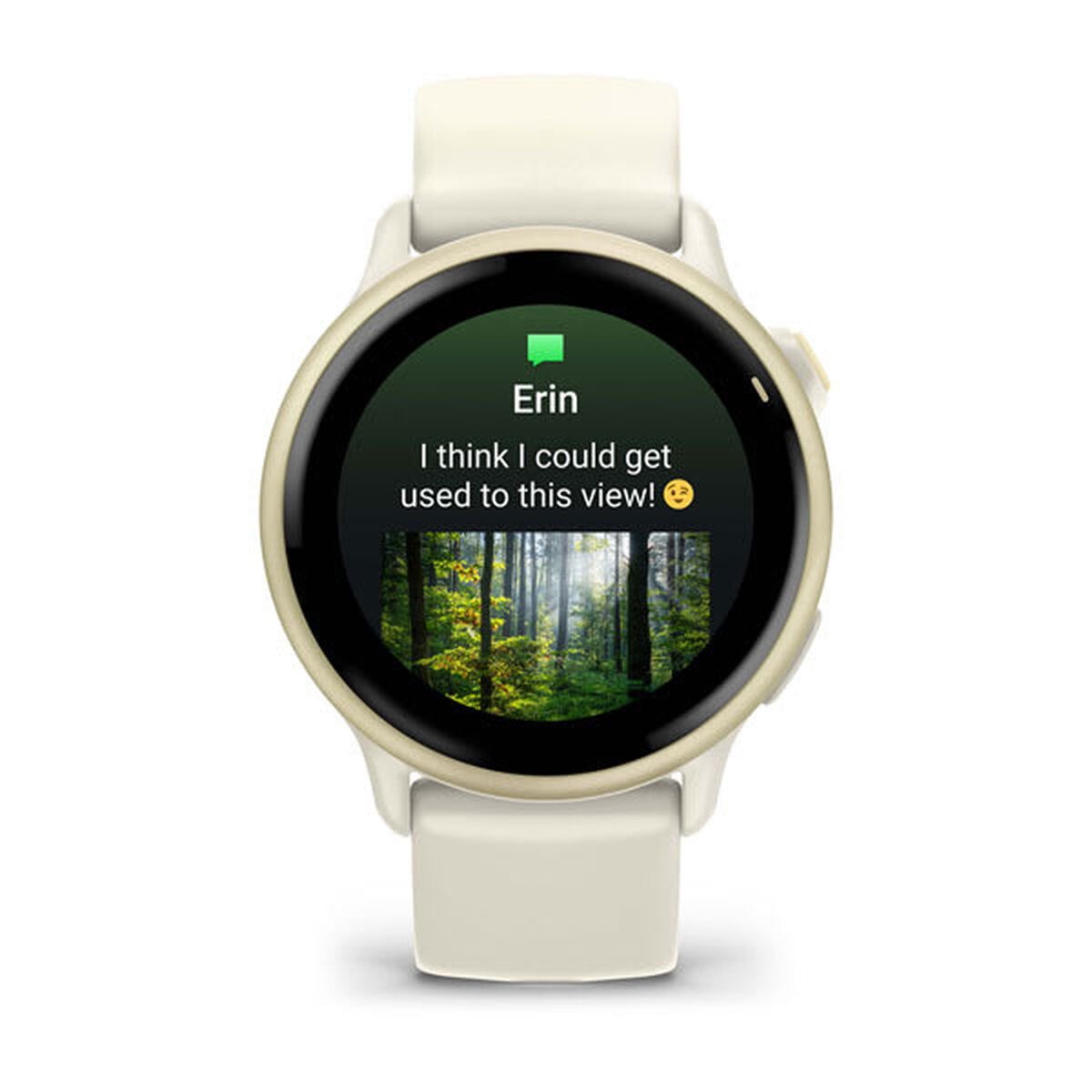 Smartwatch GARMIN 010-02985-01-11
