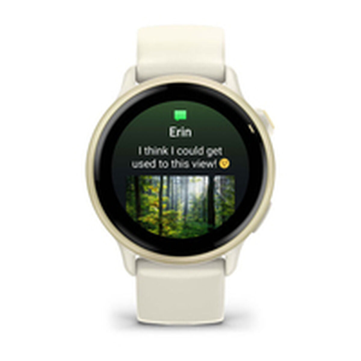 Smartwatch GARMIN 010-02985-01-10