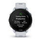Smartwatch GARMIN 010-02638-31-15