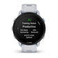 Smartwatch GARMIN 010-02638-31-14