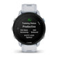 Smartwatch GARMIN 010-02638-31-6